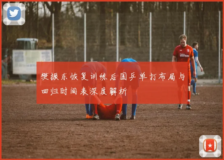 樊振东恢复训练后国乒单打布局与回归时间表深度解析