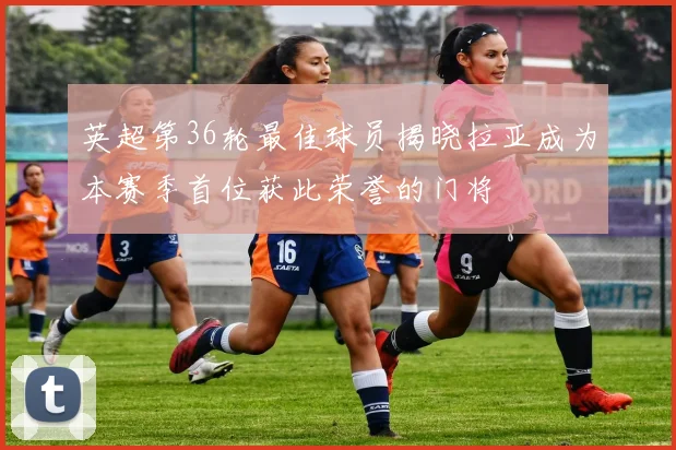 英超第36轮最佳球员揭晓拉亚成为本赛季首位获此荣誉的门将