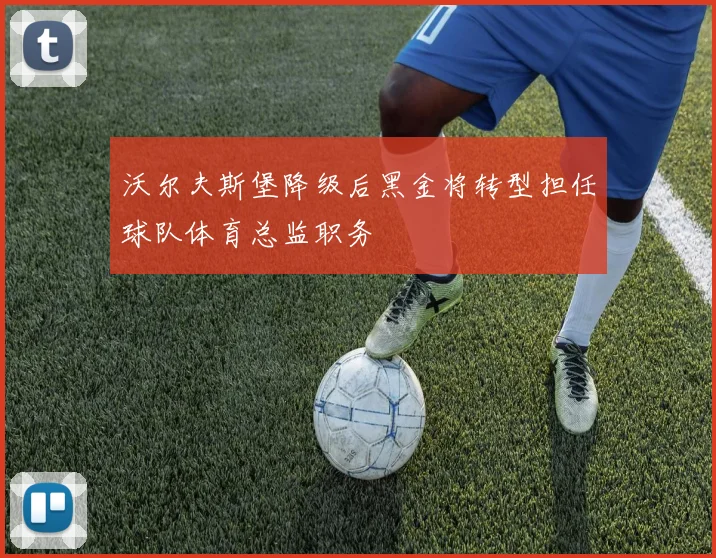 沃尔夫斯堡降级后黑金将转型担任球队体育总监职务
